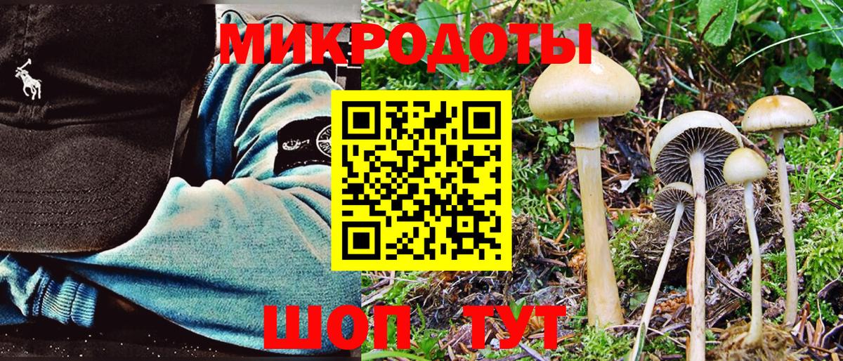 Тихорецк  Галлюциногенные грибы Psilocybine cubensis  цены наркотик  Вход с VPN  Псилоцибиновые грибы ЛСД 