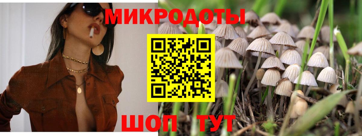 Галлюциногенные грибы Magic Shrooms Тихорецк